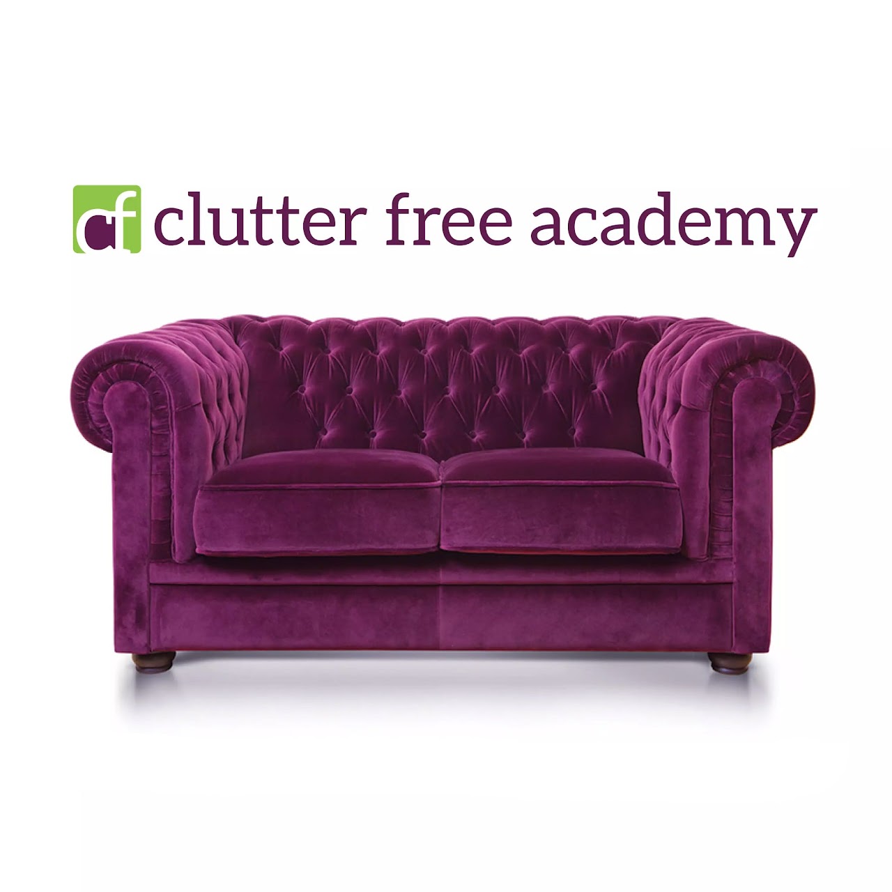 an image of the clutter free academy color logo